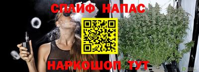 ECSTASY Тула