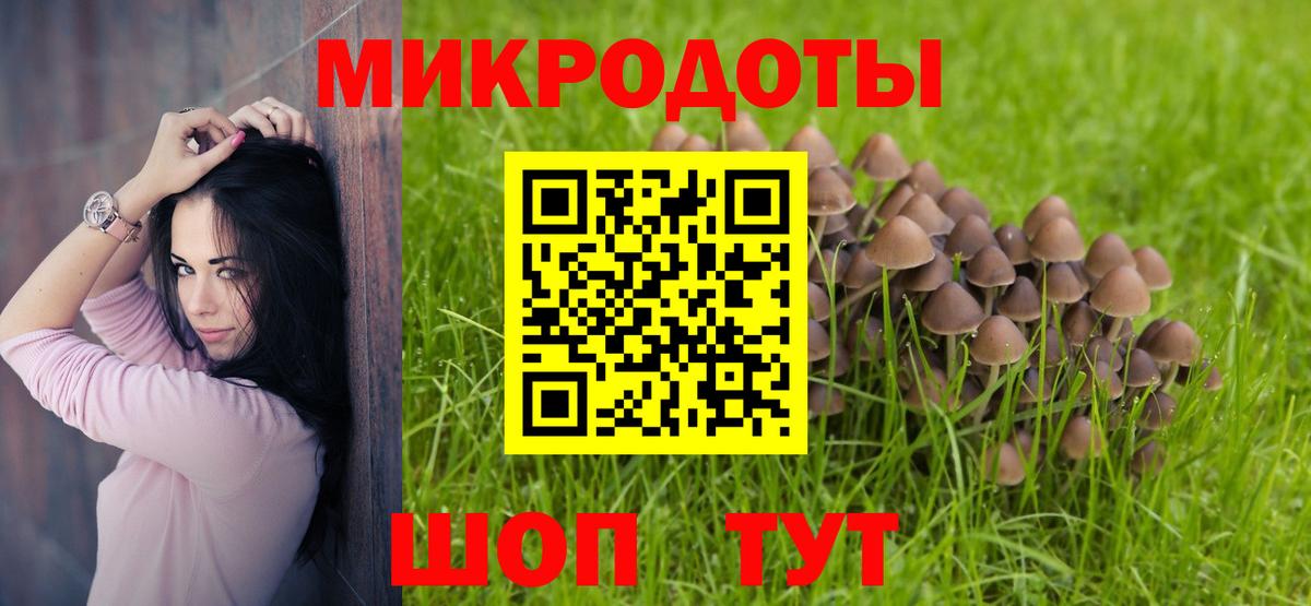 Михайловка  Галлюциногенные грибы ЛСД  Псилоцибиновые грибы мухоморы  Вход с VPN 